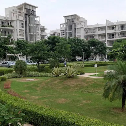 Palm Drive